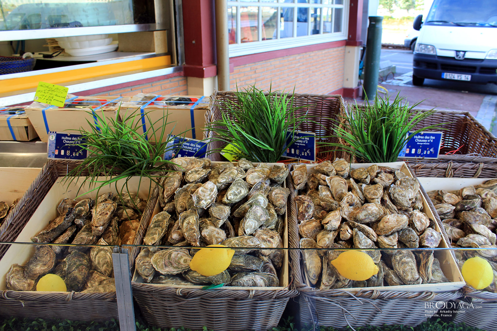 Trouville